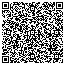 QR code with Cast Detail Painting contacts