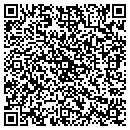 QR code with Blackhawk Systems Inc contacts