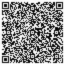 QR code with Blue Sky Painting LLC contacts