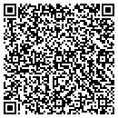QR code with Cogent Systems Corp contacts