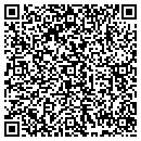 QR code with Brisbin John A Dvm contacts