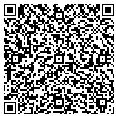 QR code with Capitol Painting LLC contacts