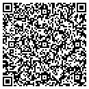QR code with Borrego Painting LLC contacts