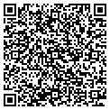 QR code with Motown contacts