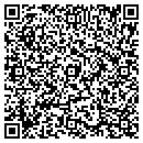 QR code with Precision Auto Craft contacts