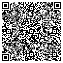 QR code with Colonial Silver Shop contacts