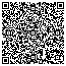 QR code with Puchibag contacts