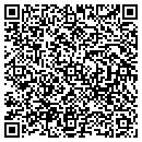 QR code with Professional Fence contacts