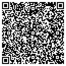 QR code with Castillo's Painting contacts