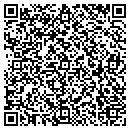 QR code with Blm Distributing Inc contacts