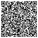 QR code with Pyramid Builders contacts