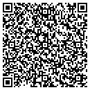 QR code with Bvz Painting contacts