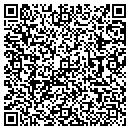 QR code with Public Works contacts