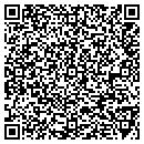 QR code with Professional Painting contacts