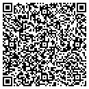 QR code with Baldwin Painting Inc contacts