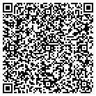 QR code with Baltimore City Painting contacts