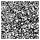 QR code with Cjs Painting Service contacts