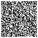 QR code with Borg Instruments Inc contacts