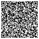 QR code with Cleantastic Solutions contacts