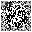 QR code with Program Development contacts