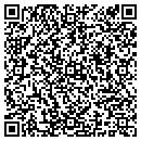 QR code with Professional Carpet contacts