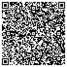 QR code with Cirrus Technologies Inc contacts