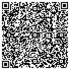 QR code with Baldwin Lawn Furniture contacts