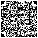 QR code with Precision Wash contacts