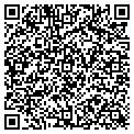 QR code with Feedel contacts