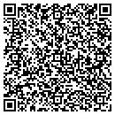 QR code with Carl's Painting CO contacts