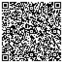 QR code with Practical Sale Consult contacts