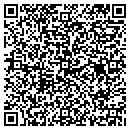 QR code with Pyramid Pest Control contacts