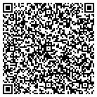 QR code with Britt Painting Dannie L contacts