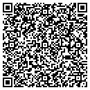 QR code with Pro Movers LLC contacts