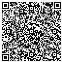 QR code with Prince P S DVM contacts