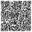 QR code with Blue Dolphin Publishing contacts