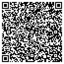QR code with Blue Lance Securities contacts
