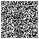 QR code with Blu Sphere Systems contacts