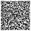 QR code with County Of Buena Vista contacts