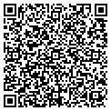 QR code with Divine contacts