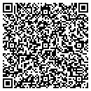 QR code with Central New York Dso contacts