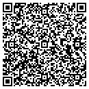 QR code with Pyramid Technologies contacts