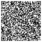 QR code with Blue Ridge Networks contacts