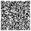 QR code with Blue Spider Analytics contacts