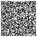 QR code with Carpet Works contacts