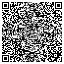 QR code with Brionez Painting contacts