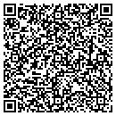 QR code with Clemetson Lisa DVM contacts
