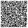 QR code with D Tails contacts