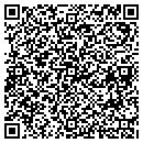 QR code with Promise Services Inc contacts