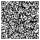 QR code with Pristine Systems Inc contacts
